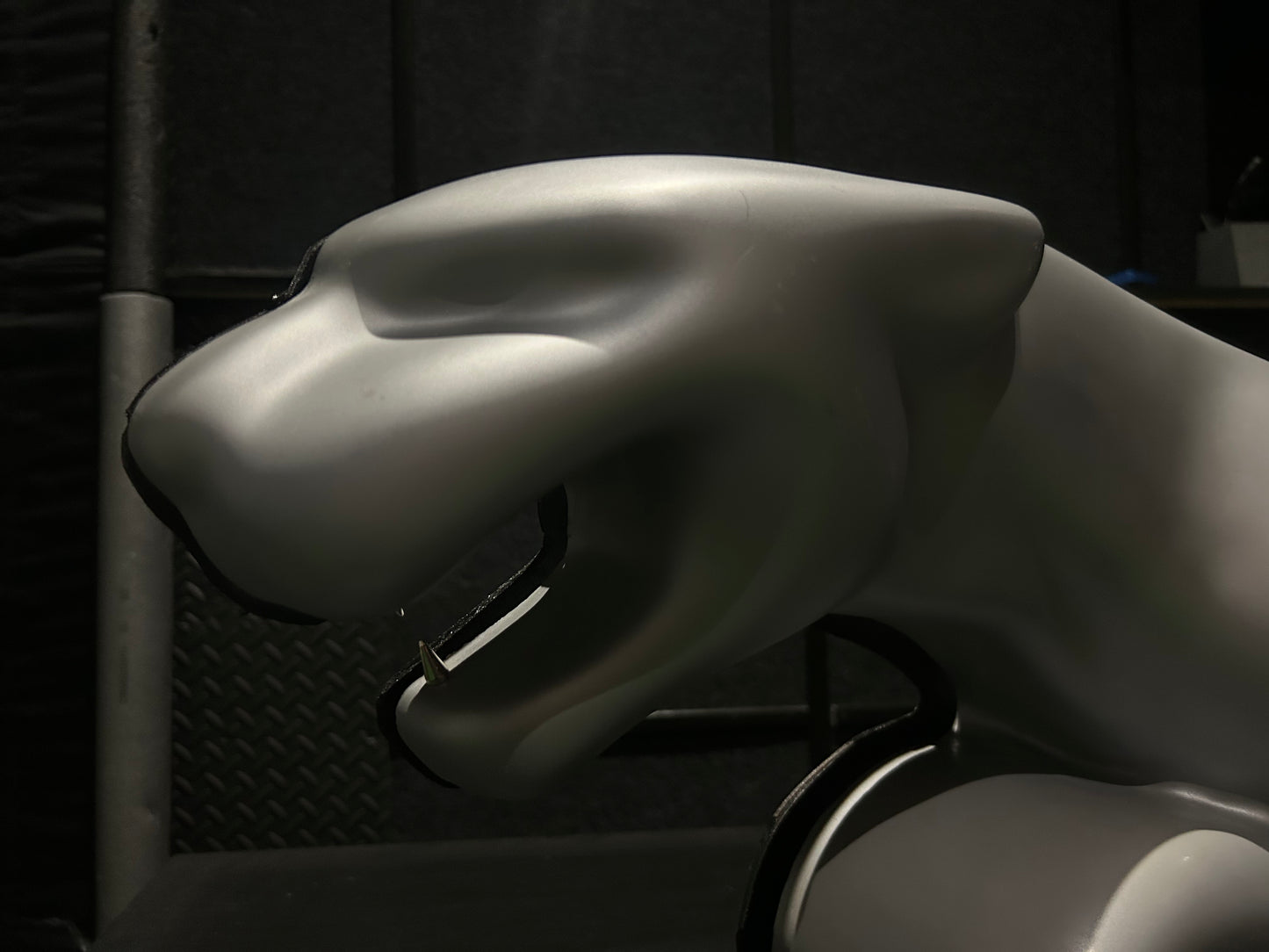 Jaguar Dealership Sign #S15